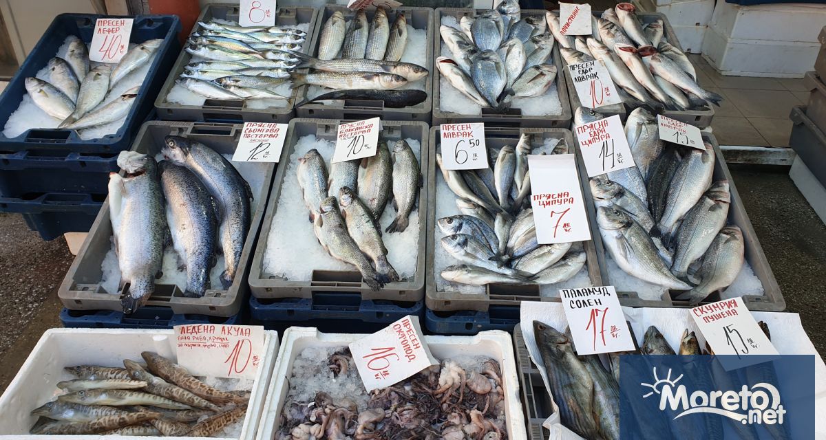 Повече видимост на български продукти от рибарство и риболов са