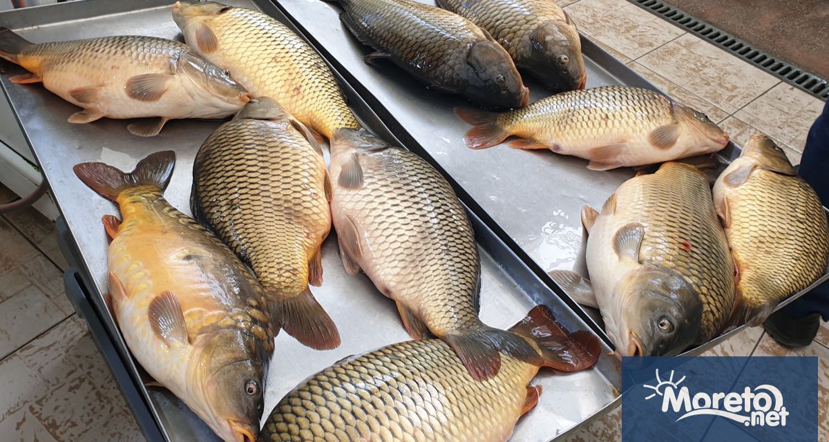 Дни преди Никуден проверка на Moreto net на рибната борса във