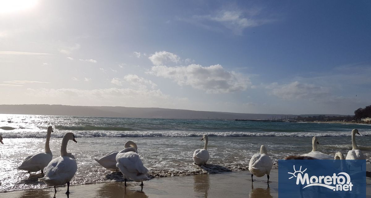 В понеделник над Черноморието ще има значителна ниска облачност която