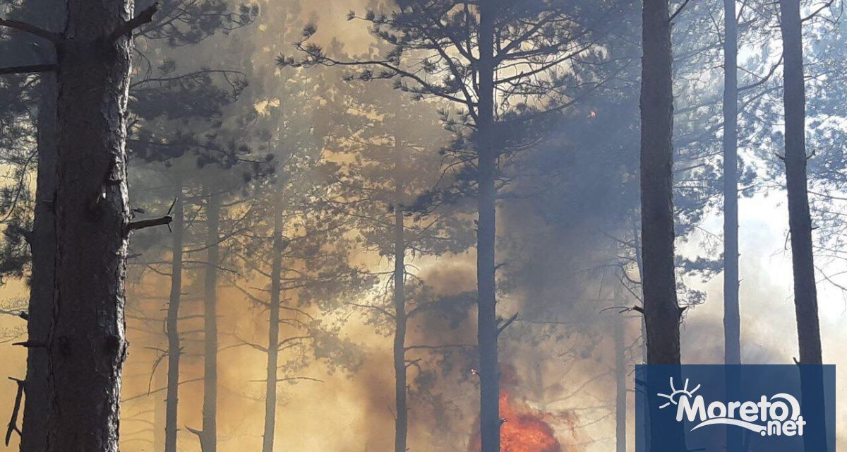 Предвид зачестилите горски пожари свързани с високите летни температури от