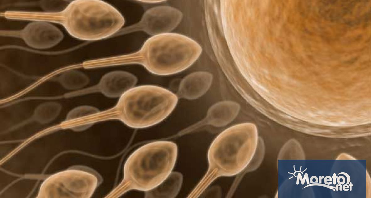 Изследователи установиха че при някои мъже прекарали COVID 19 качеството на