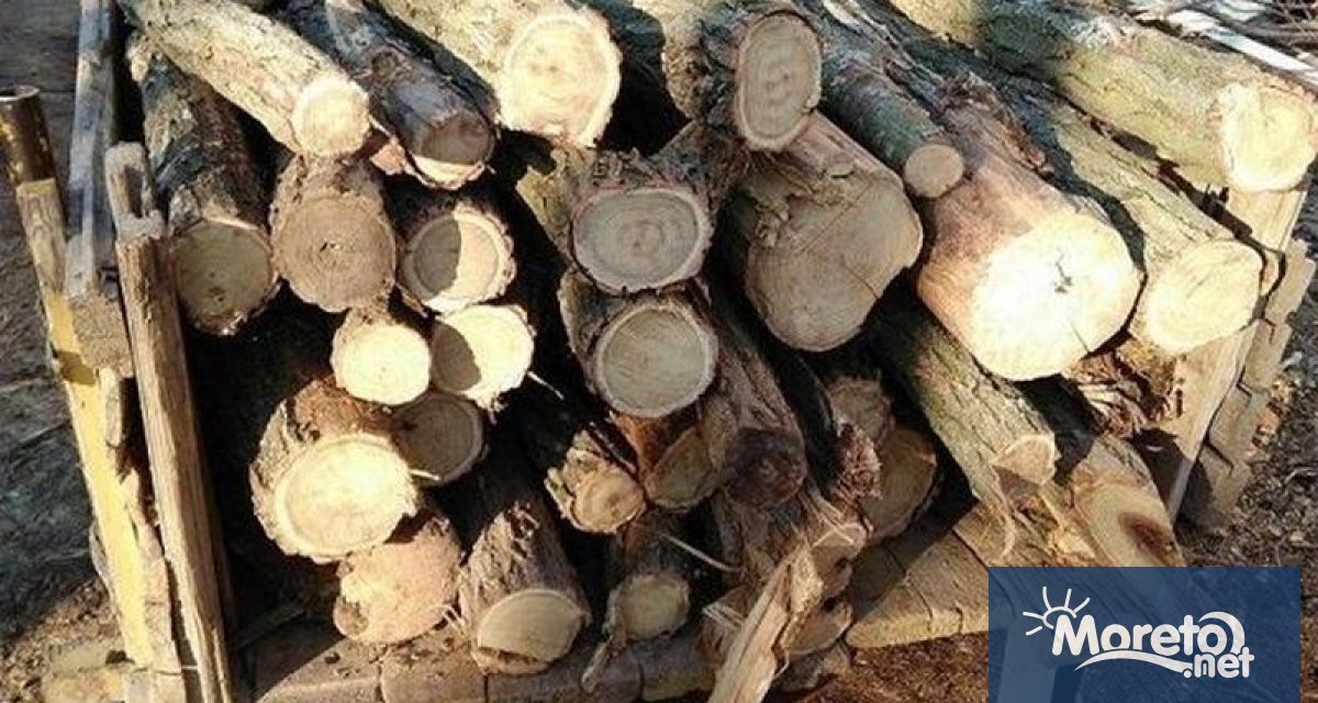 21 каруци натоварени с незаконно добита дървесина конфискуваха през януари