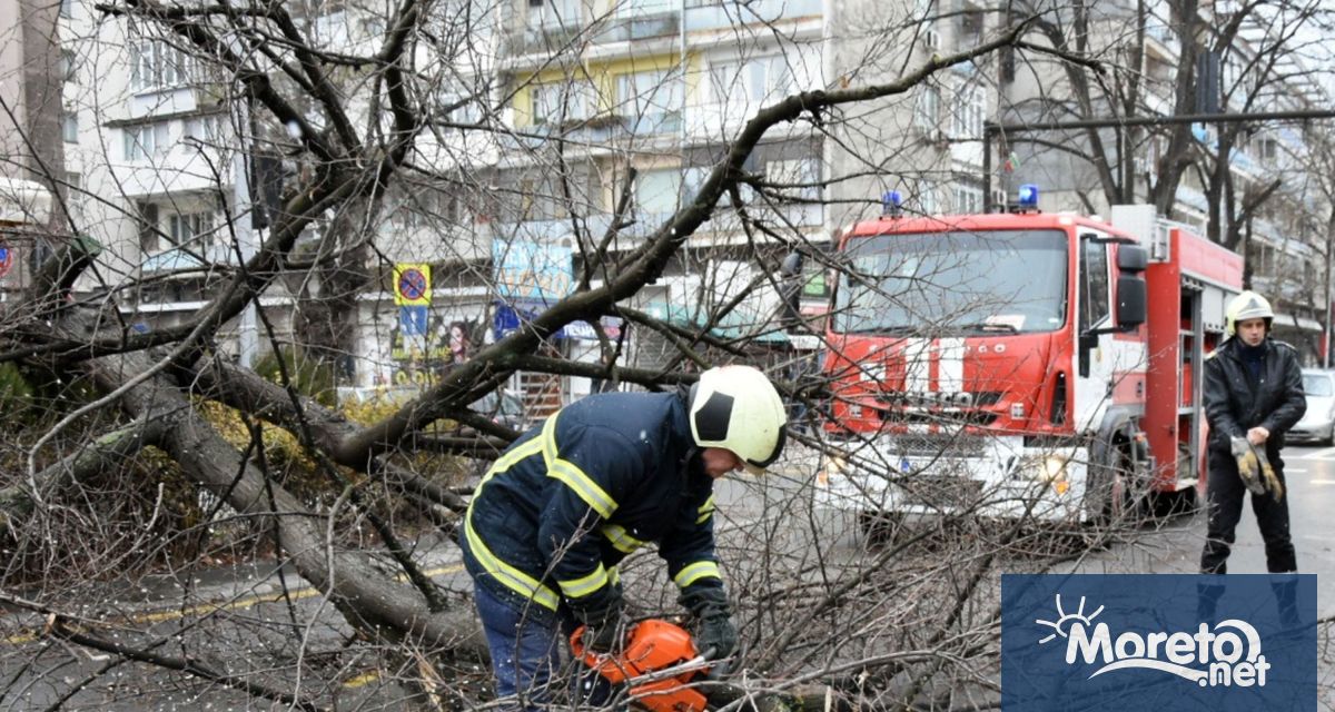 В утрешния 22 ноември от 10 ч до 12 ч