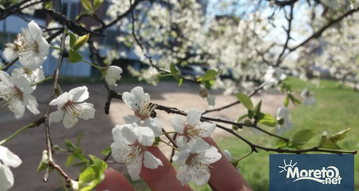 Тази нощ облачността ще е значителна но ще е почти