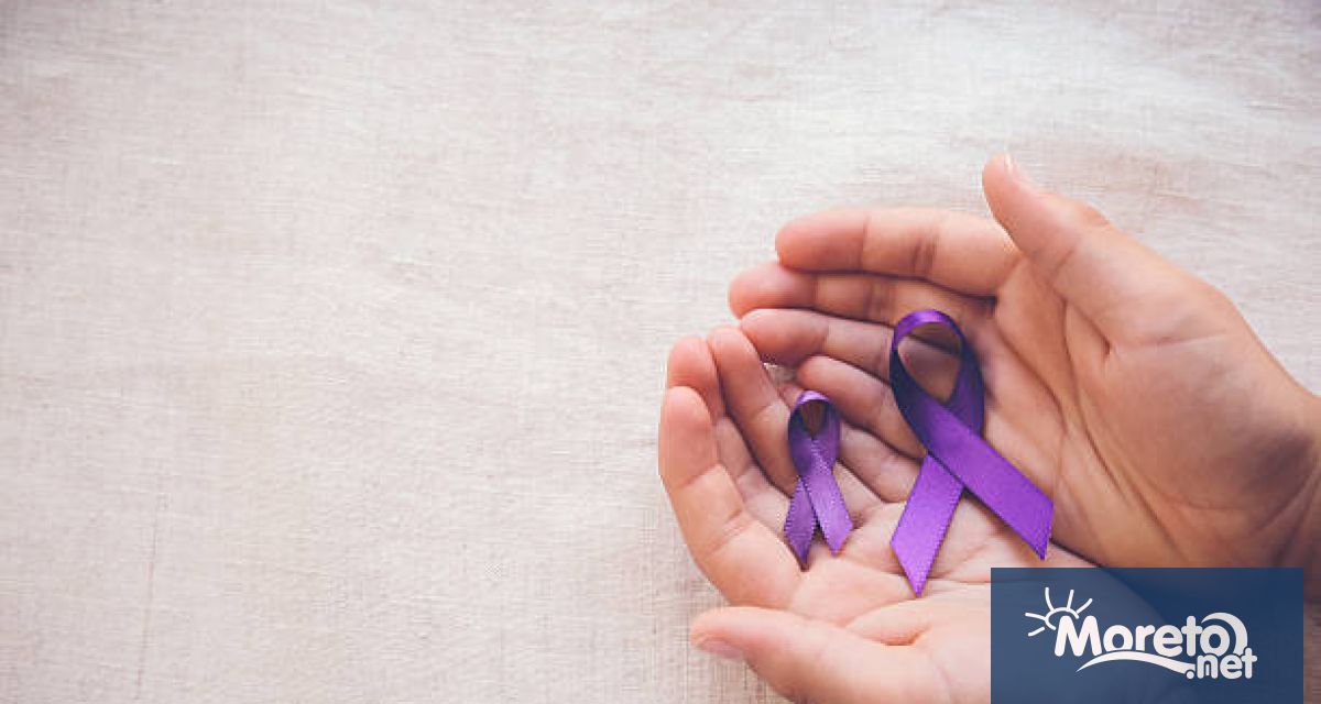 Purple Day Лилав ден е международен ден за епилепсия и всяка