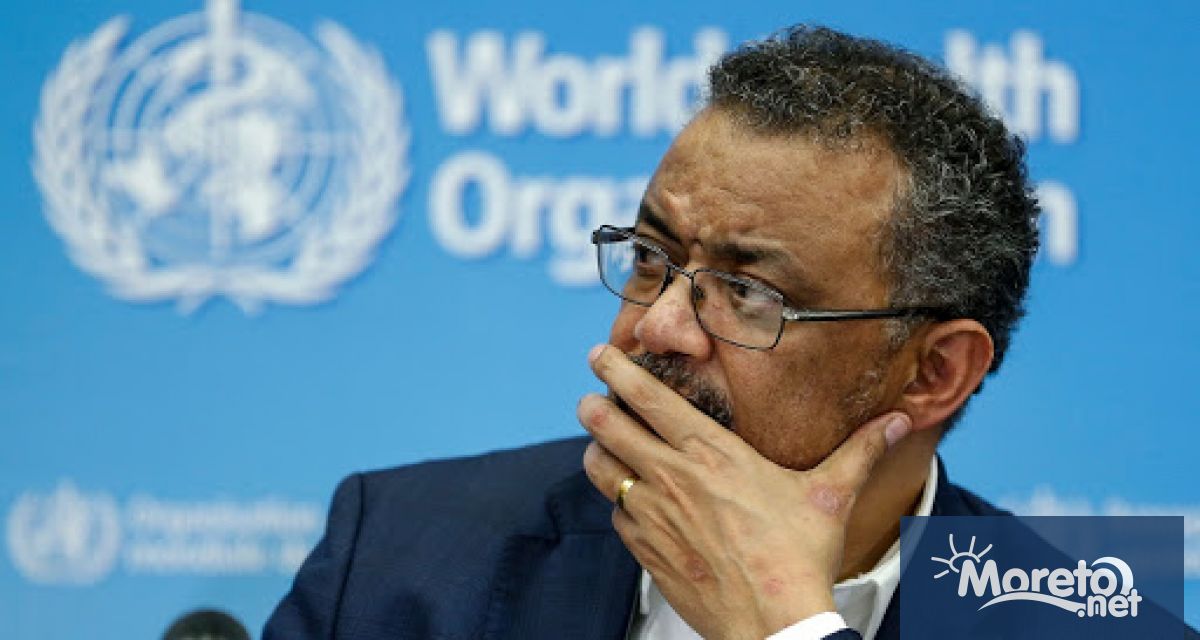 Броят на новите случаи на COVID 19 е намалял драстично Това