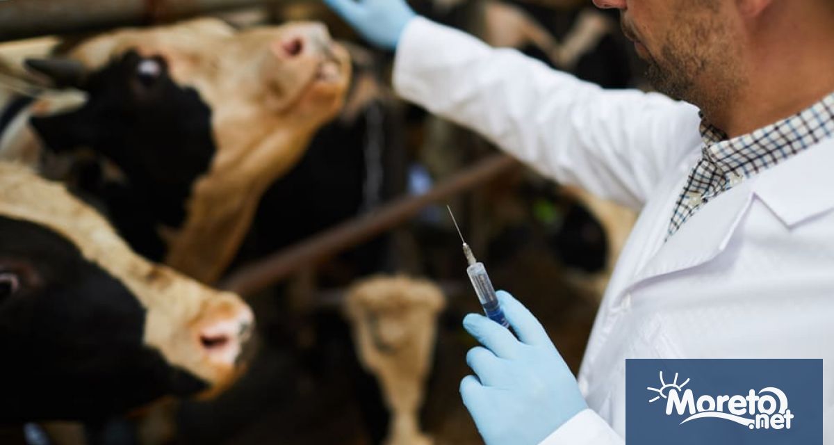 На 14 декември в България се отбелязва професионалният празник на