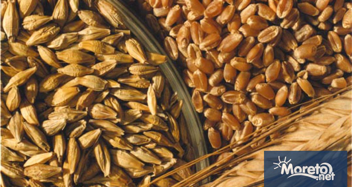 Фючърсите на пшеницата и царевицата търгувани на стоковата борса в
