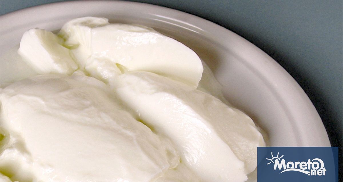 От днес Българското кисело мляко вече е вписано в европейския