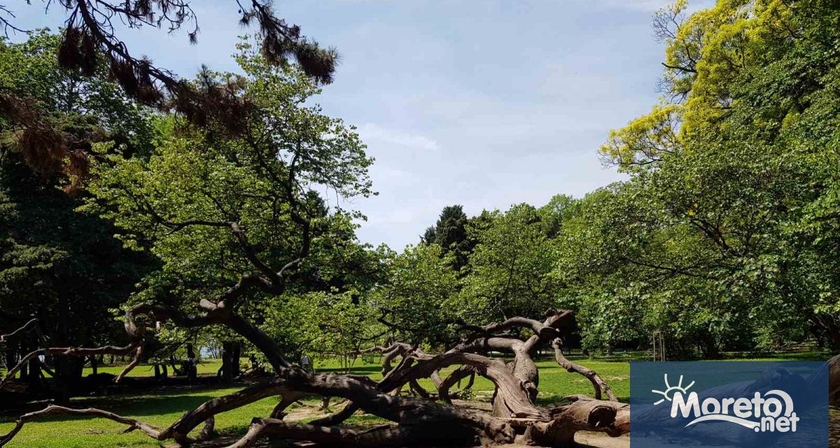 Новите данни потвърждават връзка между фините прахови частици озона и