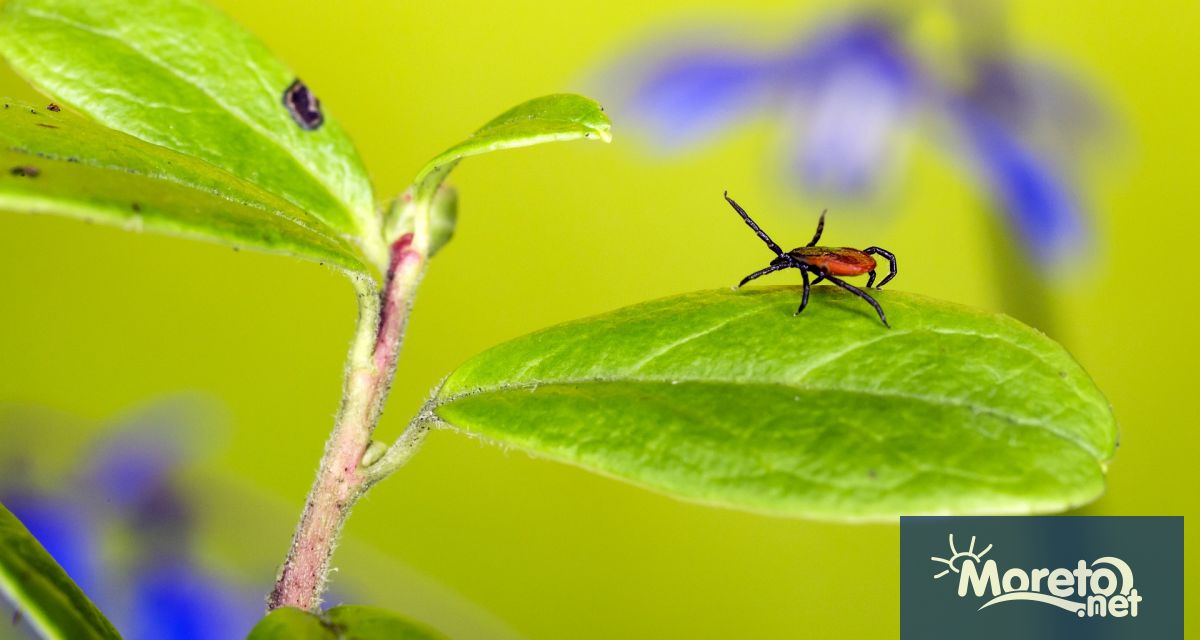 През седмицата 25 29 август продължава обработката срещу кърлежи и други