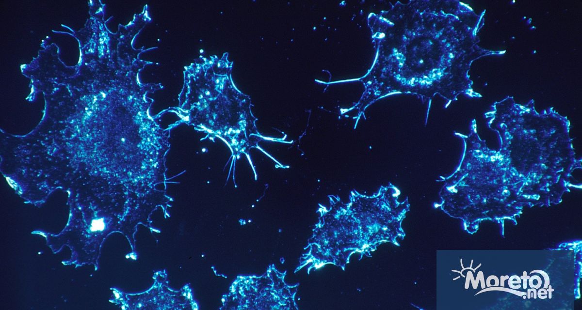 Стареенето води до две противоположни тенденции в риска от рак