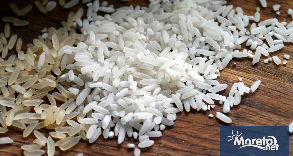 Цената ориза достигна 12 годишен връх в световен мащаб съобщи Световната