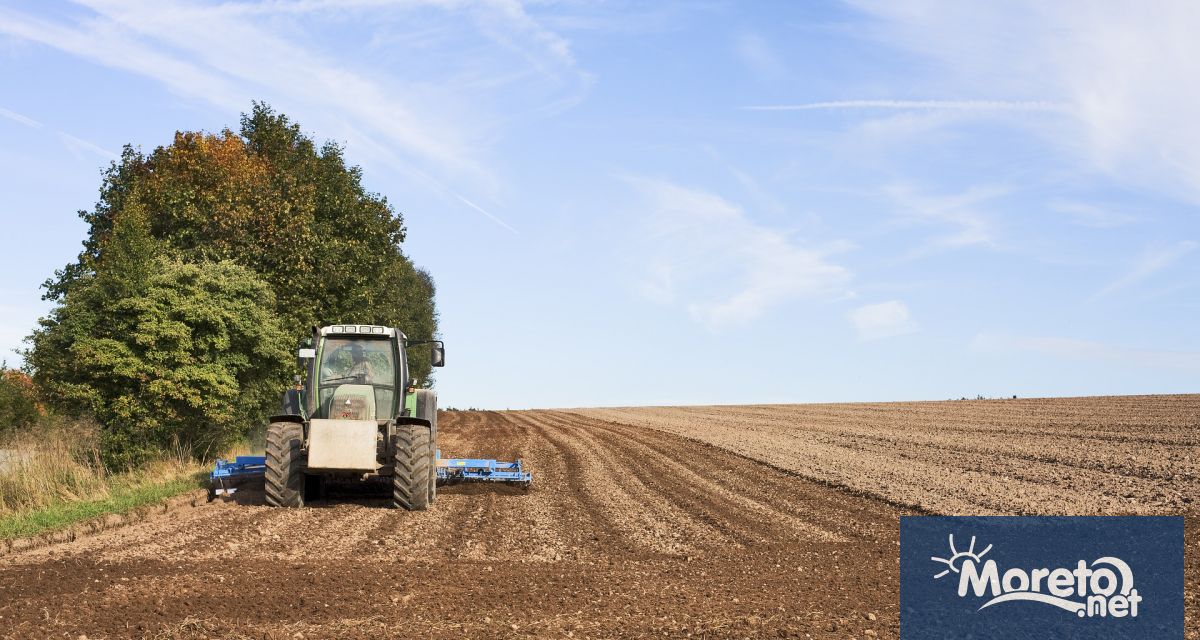 4116 лева струва създаването на 1 декар нов полезащитен пояс