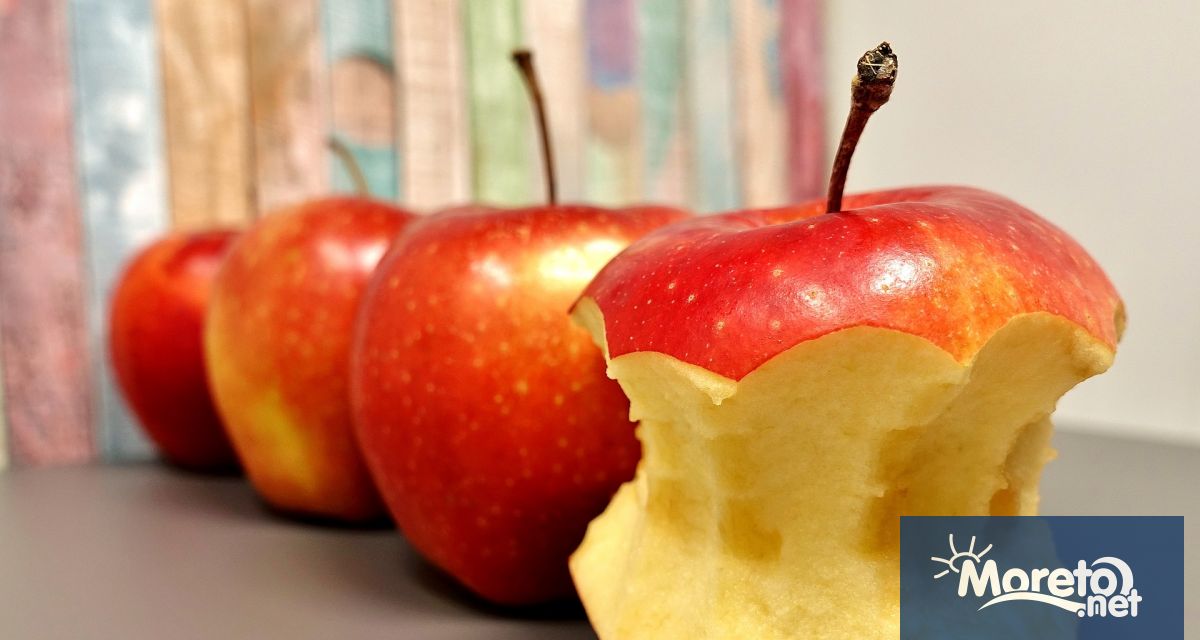 Девет служители на Националната компания Железопътна инфраструктура и техният ръководител