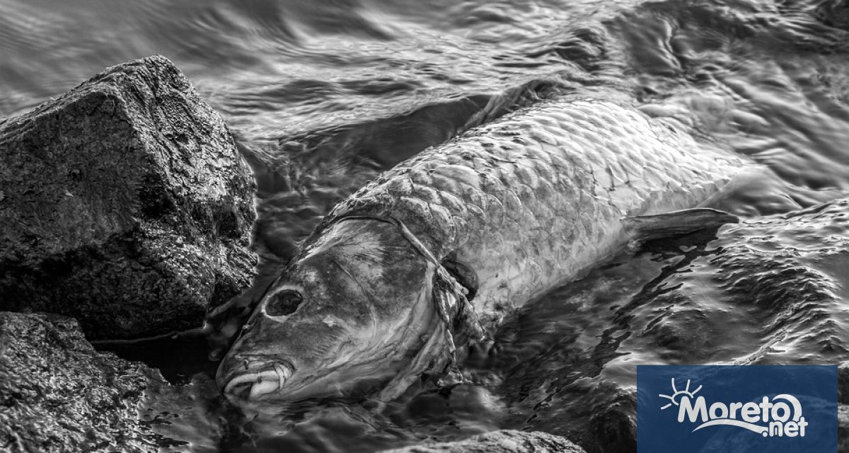 Районна прокуратура Варна ръководи досъдебно производство за изясняване на