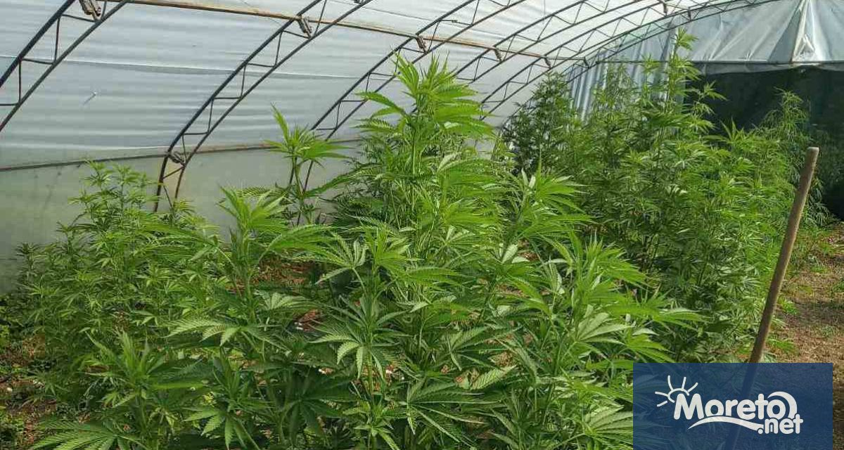 Варненският апелативен съд призна за виновен подсъдим за това че