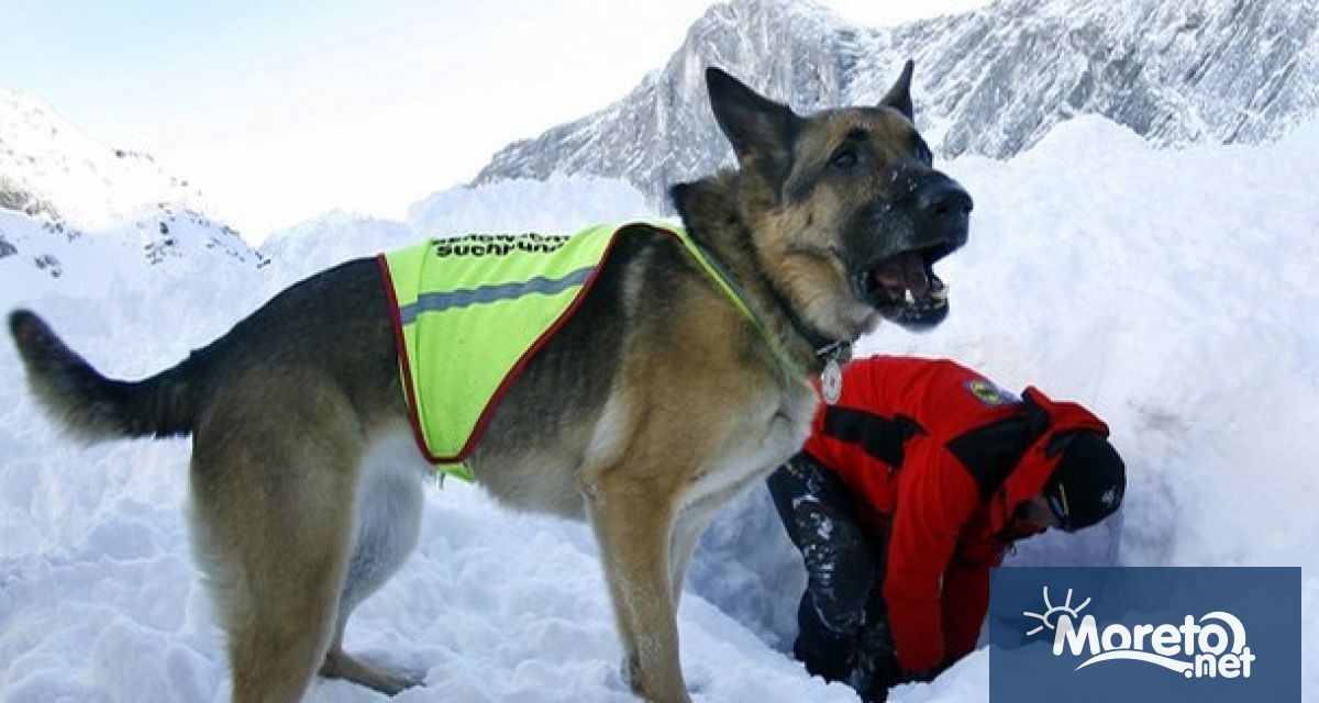 50 000 лева са необходими за закупуване на специализиран транспорт