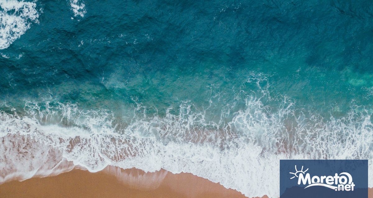 Световният ден на океана ежегодно се отбелязва на 8 юни