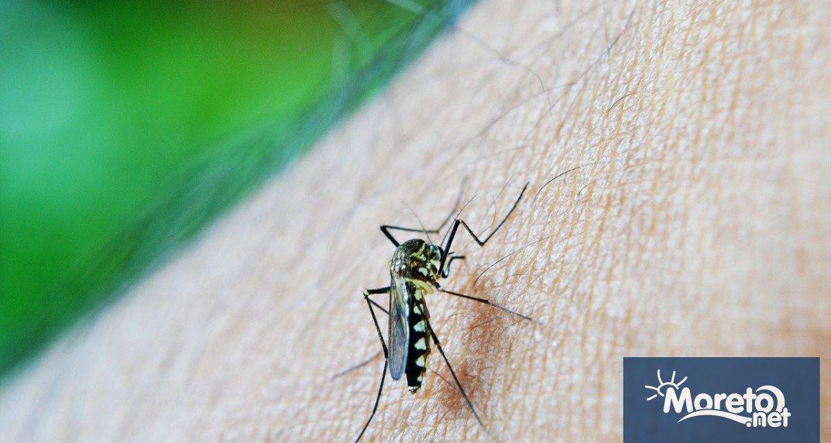 Във Варна продължава противокомарната обработка по райони съобщи Георги Киряков