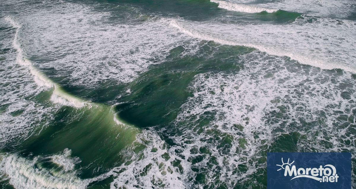 Броят на удавените хора по Българското Черноморие намалява Това посочва