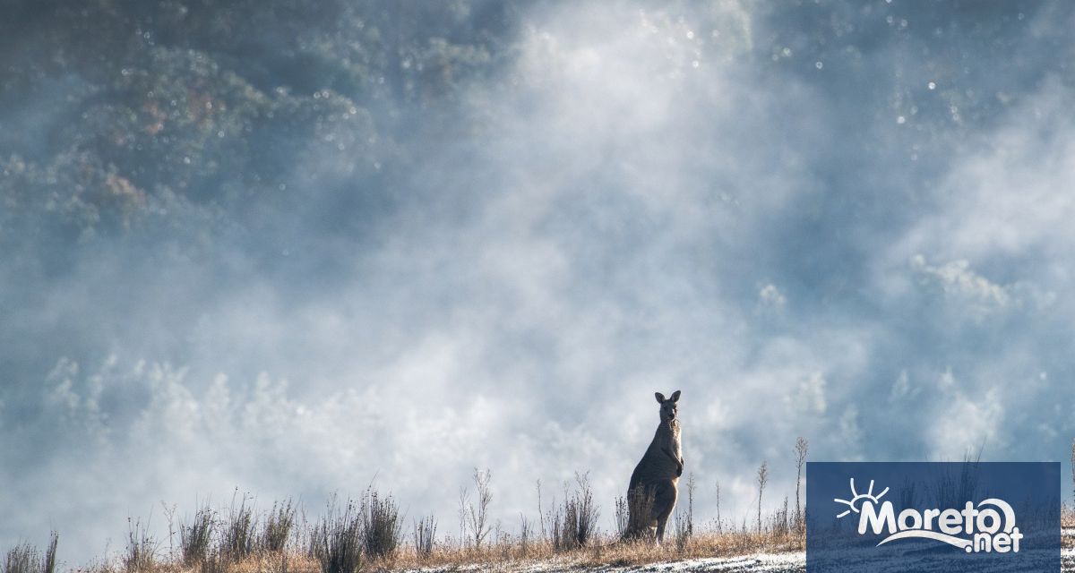 Австралия е застрашена от сериозни пожароопасни условия след като топлинна