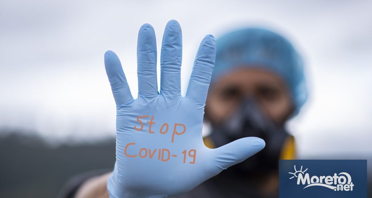 За първи път в света белгийски изследователи от университета в