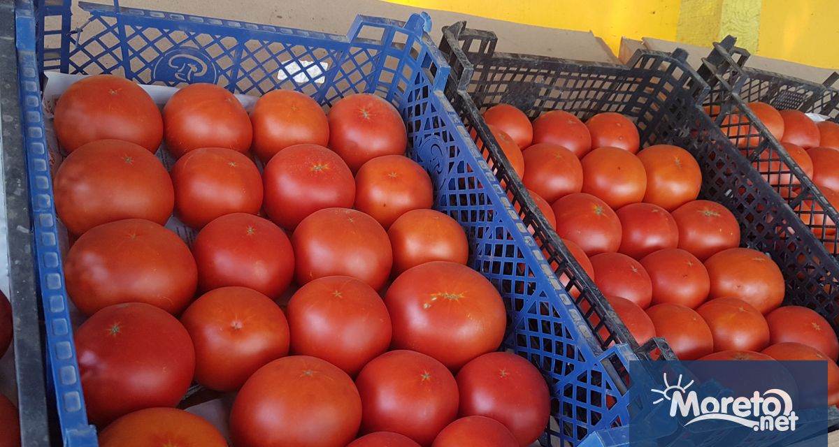 Турция премахна забраната за износ на домати въведена от 2