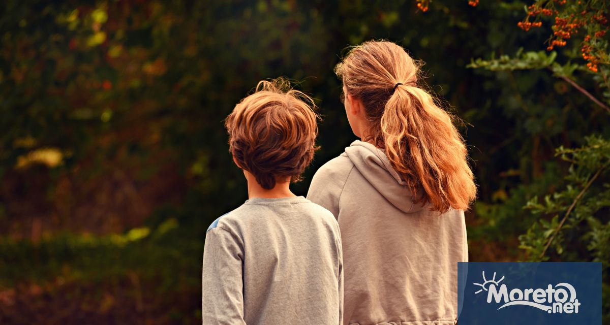 Към 31 декември 2022 г в страната функционират общо 295