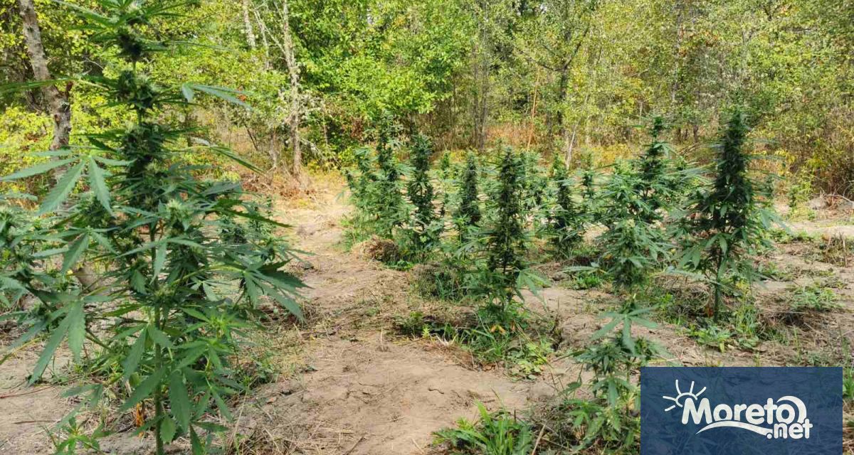 Депутати от управляващото мнозинство Продължаваме промяната Демократична България и