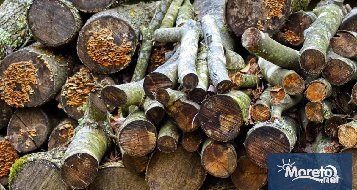 Над 2200 проверки за спазване на Закона за горите и