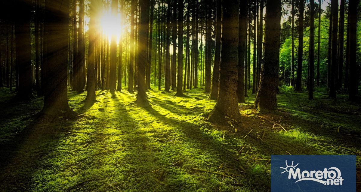 За пореден месец на територията на СИДП не е регистрирано