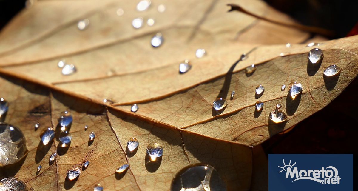 През следващото денонощие ще остане облачно на много места и