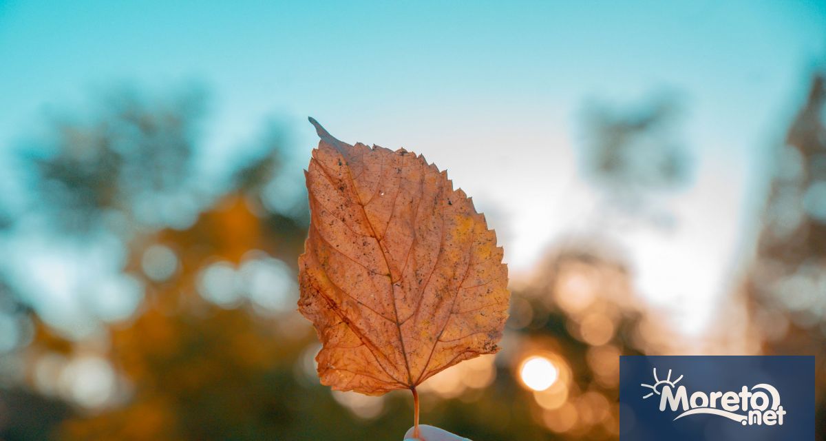Сутринта на отделни места в котловините и низините видимостта ще