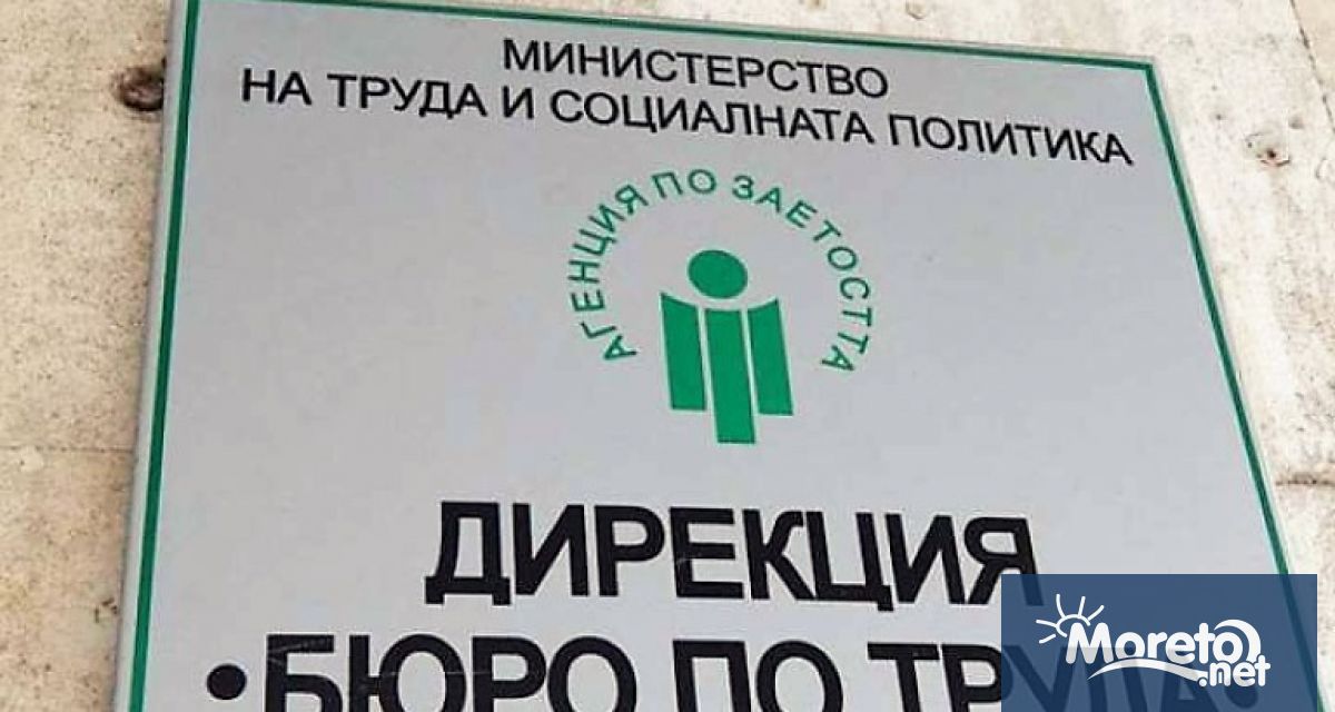 Работодателите в цялата страна вече могат да подават документи в