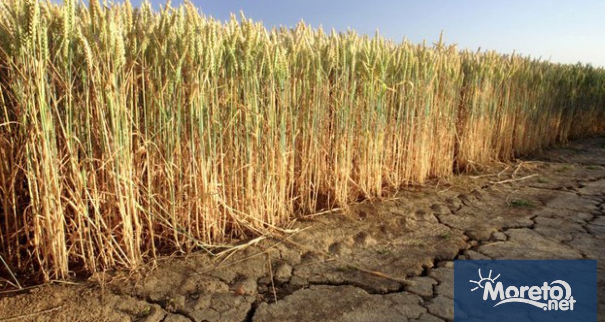 Над 75 от земеделската продукция в най сухите райони на Испания