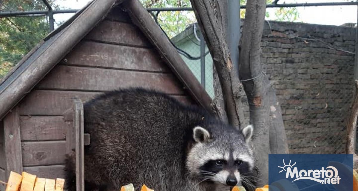 Варненският зоопарк обявява месец октомври за Месец на дарителите Откриването