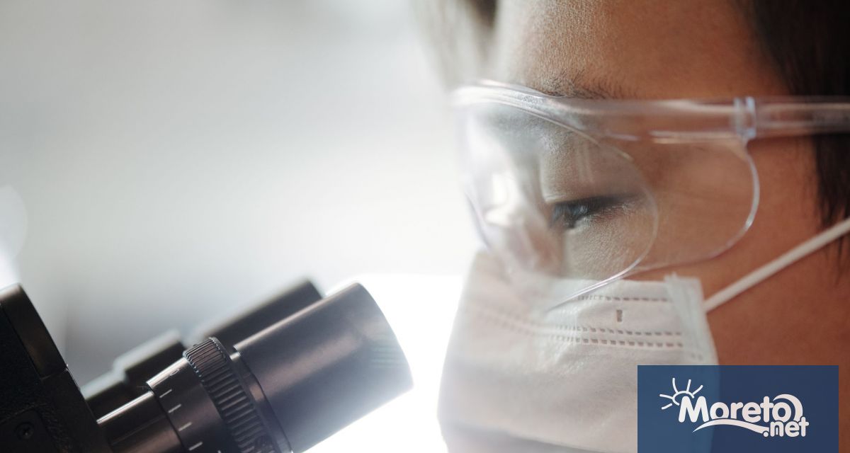 Наличие на стафилококи в проби от ръцете на служител и